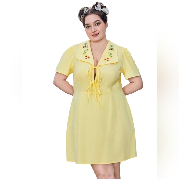Cider Dresses & Skirts - Cider Dress Women Lemon Embroidered Shortsleeve Tie Front Knee Length OXL NWT